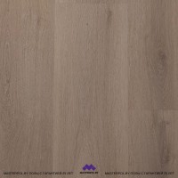 BerryAlloc Spirit Soul 55 GD Planks Stella