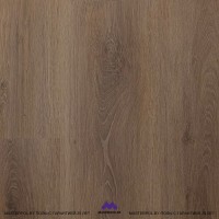 BerryAlloc Spirit Soul 55 Planks Terra