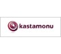 Купить ламинат Kastamonu